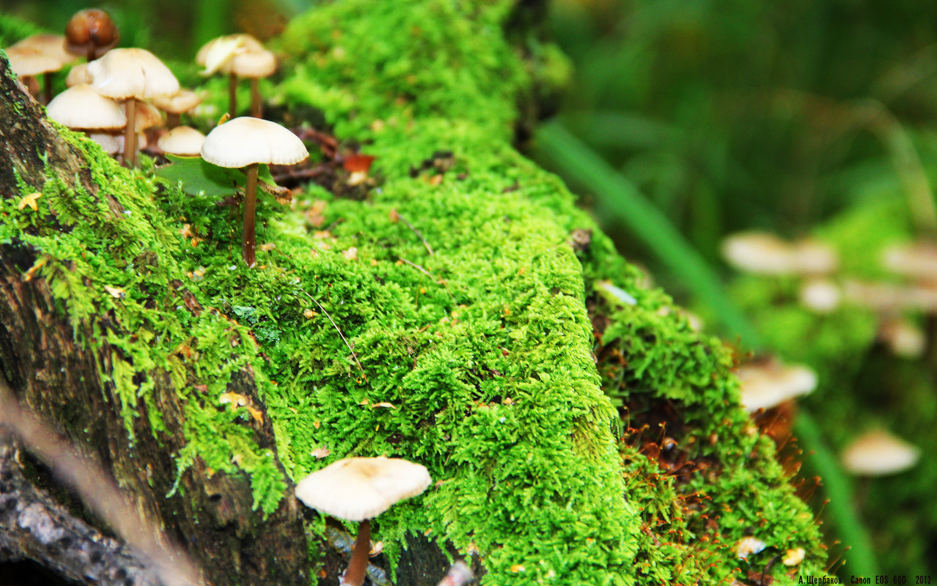奥斯汀马刺重视年轻球员培养，马刺2020年选秀应该选淮