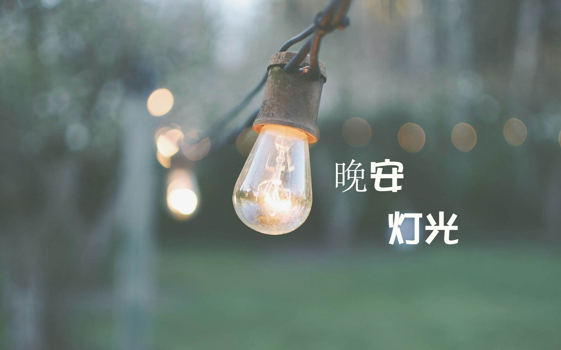 世界青少年短跑锦标赛中国选手再创新高，世界短跑比赛