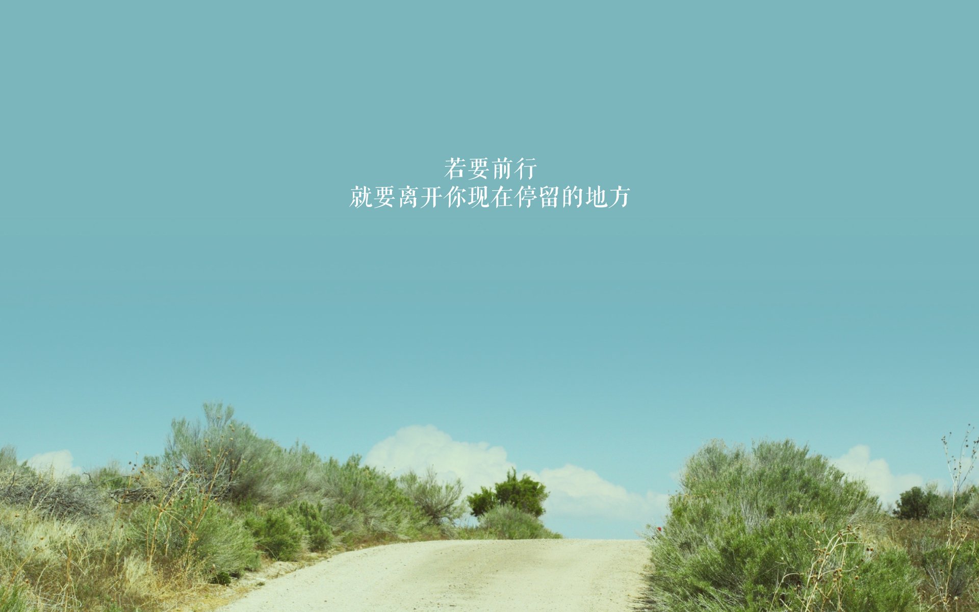 “新加坡泳池，谁将成为2025世界游泳锦标赛的新一代王者？”