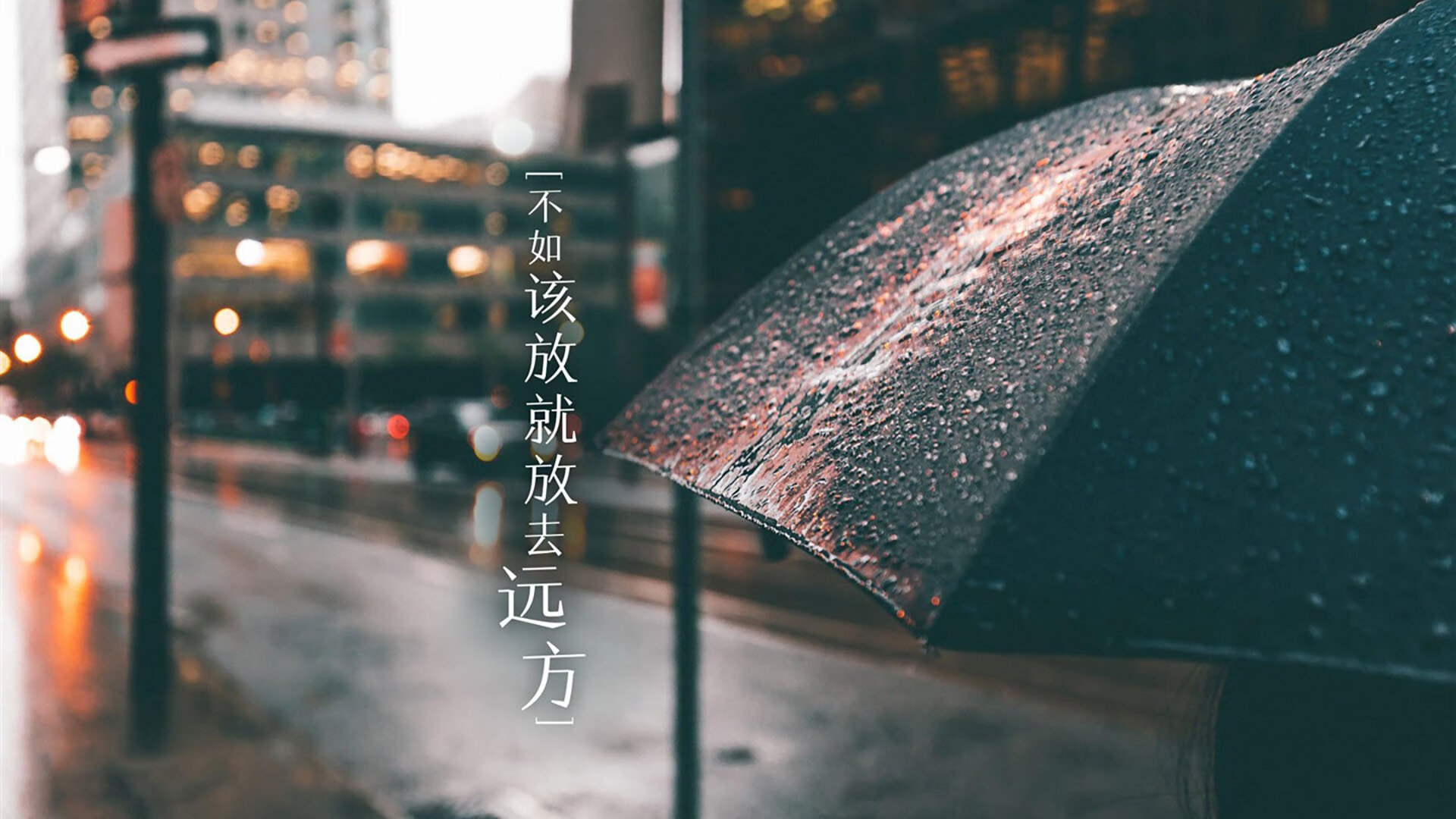 AYX GAMING-帕金斯女子蝶泳决赛强势登场，女子蝶泳历届冠军