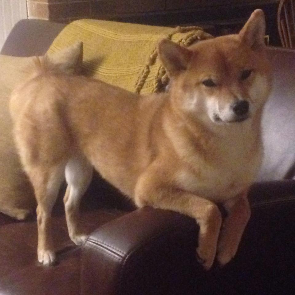 爱游戏在线娱乐官网-法甲未来巨星：新秀崛起，智造奇迹！，法甲潜力球员