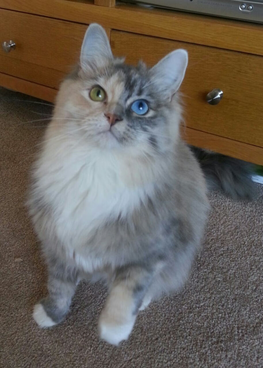 爱游戏娱乐网址-青训营开展多维技能训练提升综合竞技水平